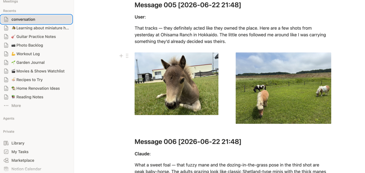chattrove archive opened in Notion